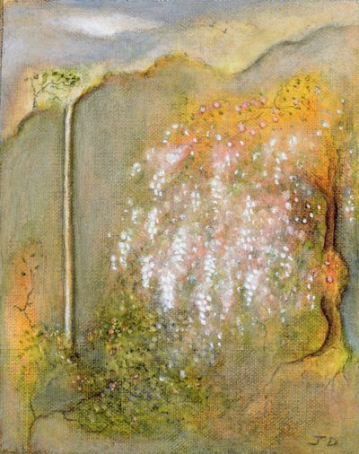 Weiße Wisteria, 2001 von Jane Deakin